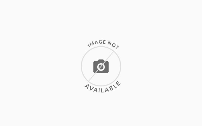 Apple iPhone 15 Pro Max 256GB